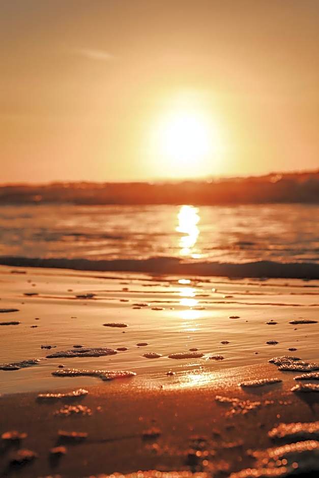 Strandhuisjes Zoomers aan Zee