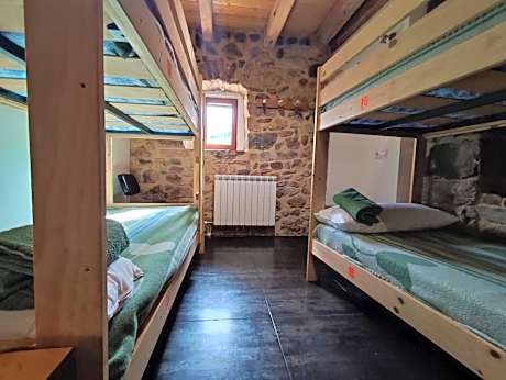 Bed in 8-Bed Dormitory Room