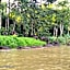 Borneo Jungle Adventure