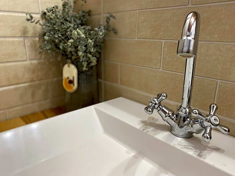 Pensiunea Violin Panzió