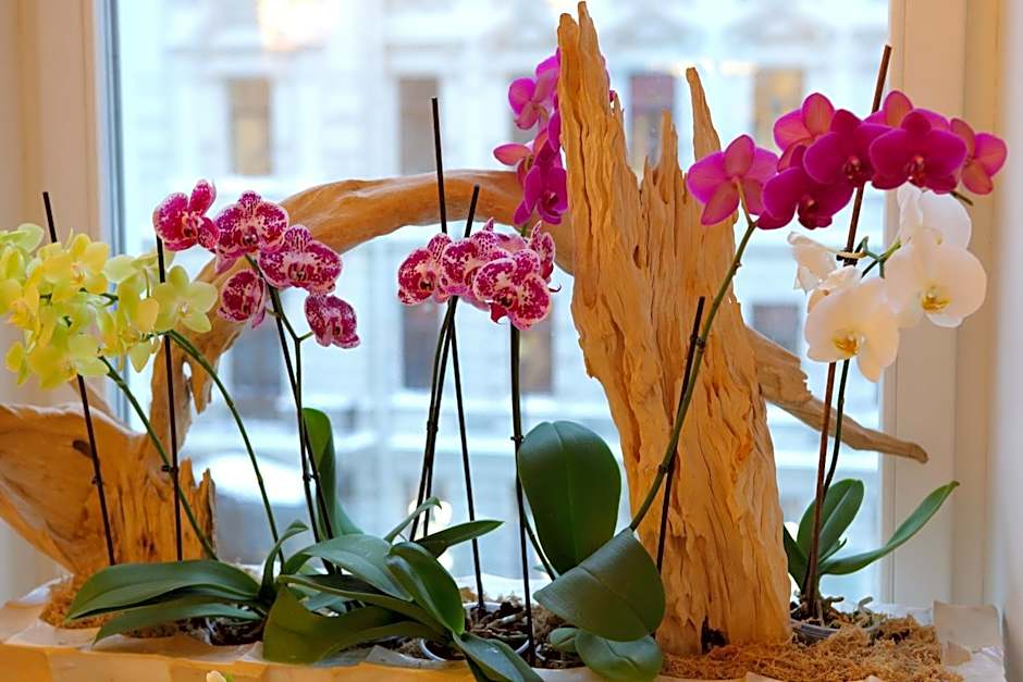 Golden Triangle Boutique Hotel