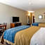 Comfort Inn Edwardsville - St. Louis