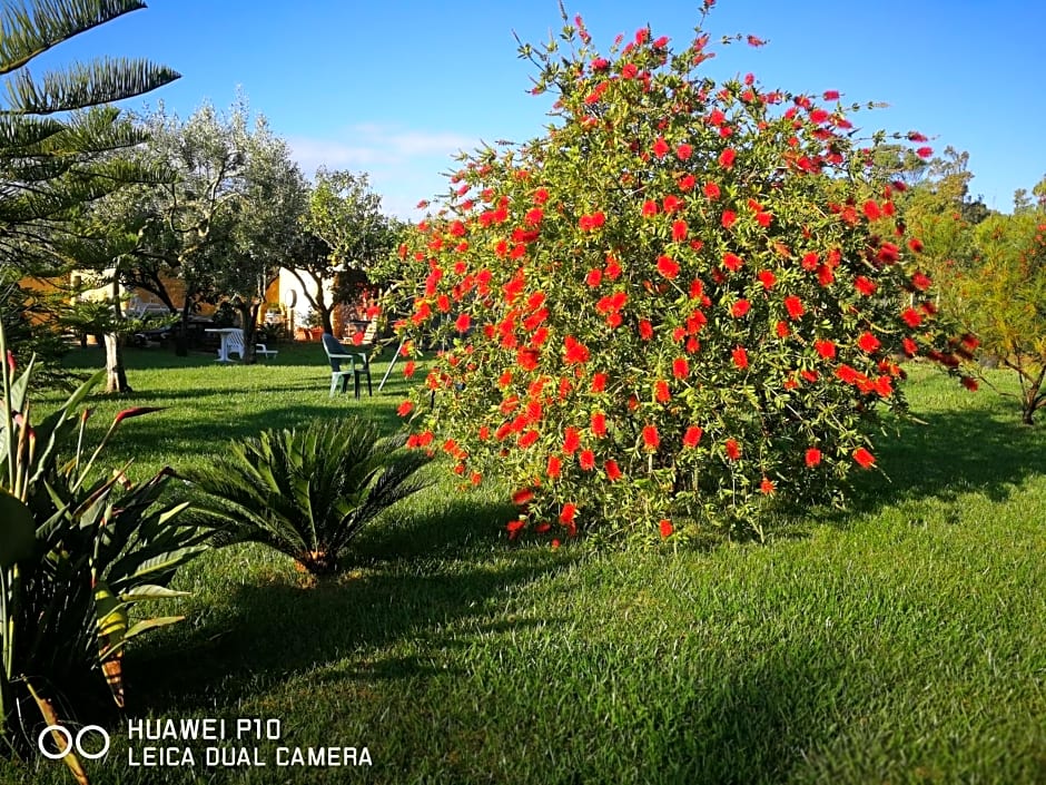 B&B Fiori di Pesco