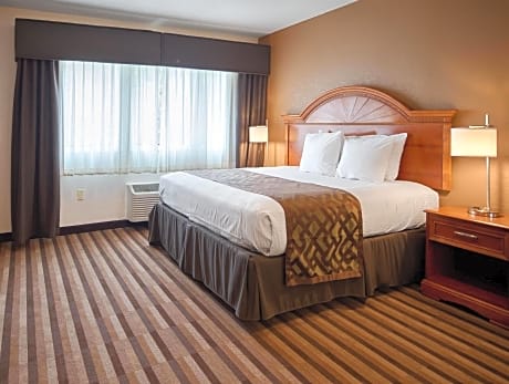 1 KING BED,NSM,MINISTE,SOFBED,LRGDESK,MICFRI,WIRLES,FULL BREAKFAST
