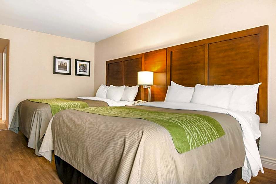 Comfort Inn And Suites