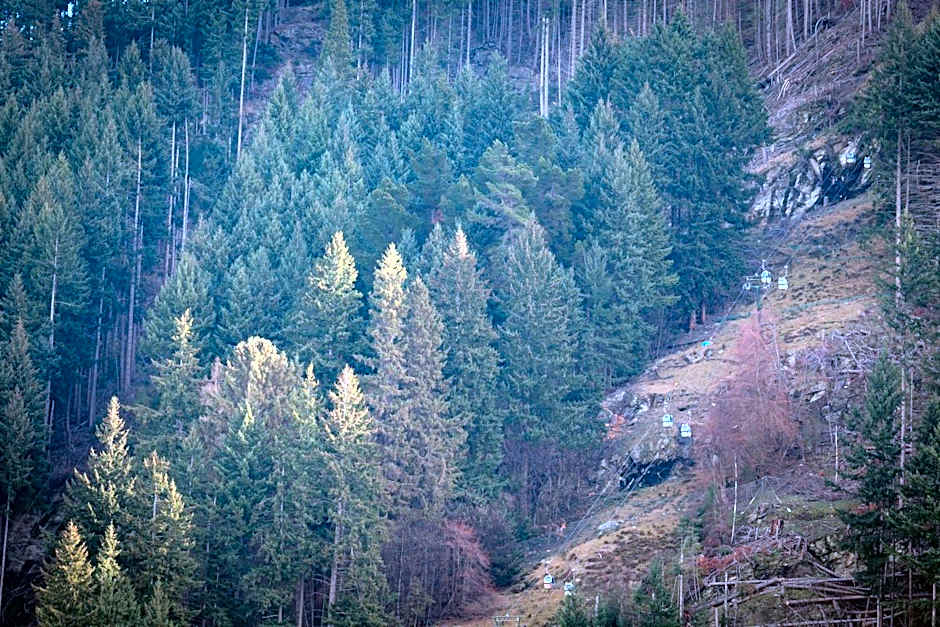 The Whistler Holiday Apartments