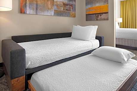 Suite, 1 King Bed (Hearing Accessible) (1 King Bed)