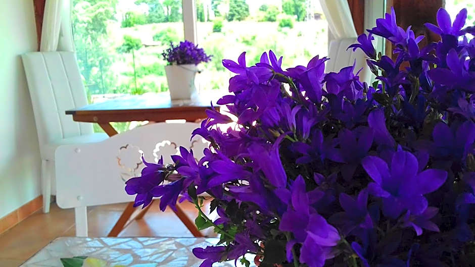 Antico Casale Fabrizi