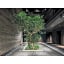 nol kyoto sanjo - Vacation STAY 00926v
