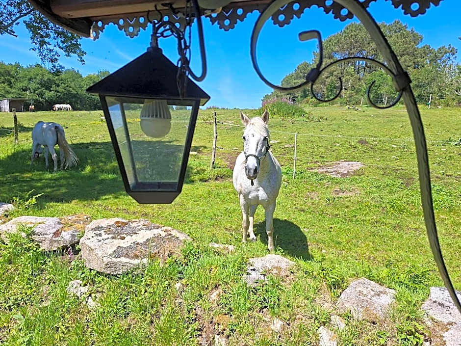 Une roulotte et des chevaux
