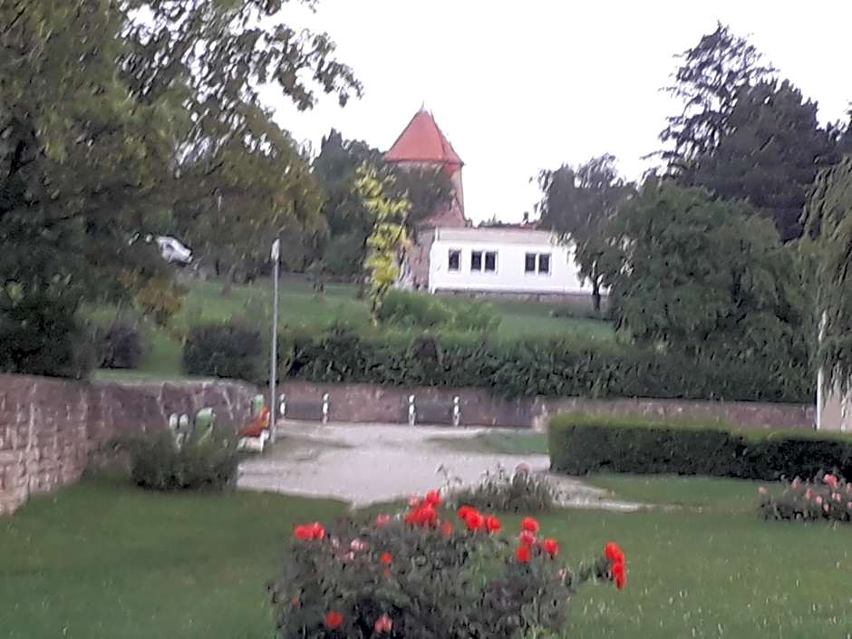Fényes Vinorium
