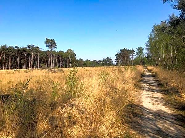 Chalet Heggemus Oisterwijk