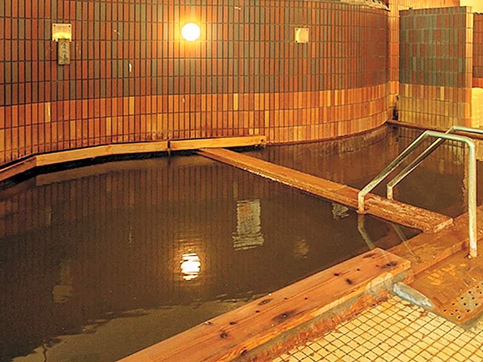 Shinappi Onsen Seiryukaku