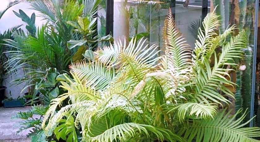 YOLO Bangkok Boutique Hotel