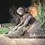 Swartberg Private Game Lodge