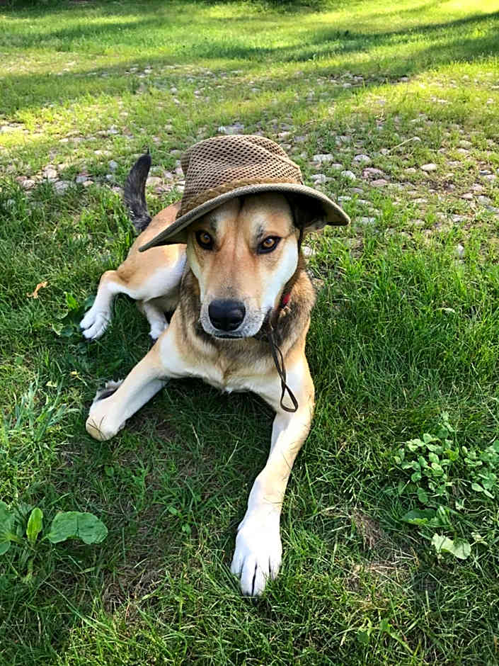 Nature Retreat "Upes Dižvietas"