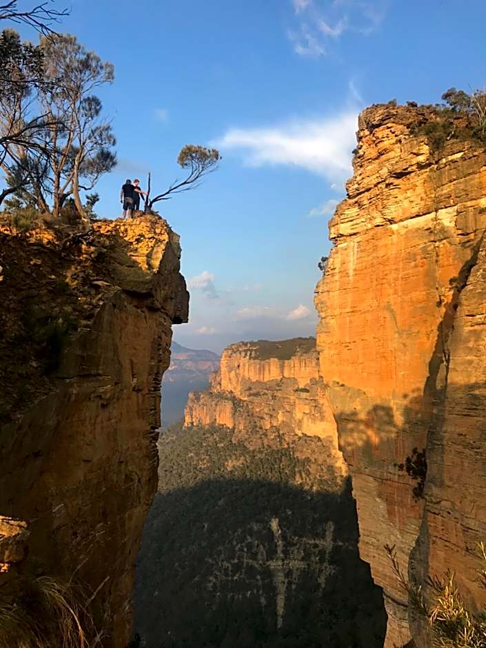 Flying Fox Backpackers