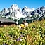 Hotel Dachstein