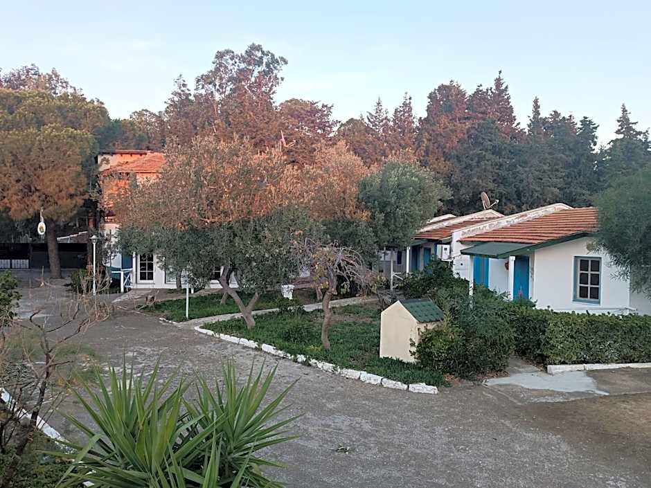 Teos Ormanci Tatil Koyu