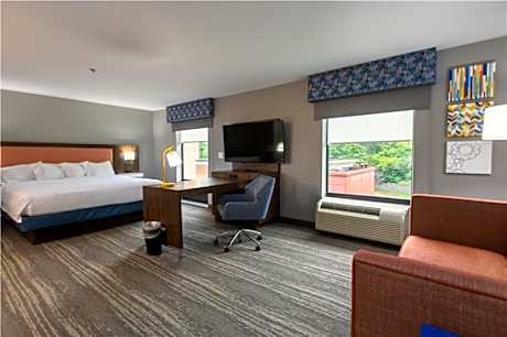 1 King Bed Studio Suite W/Sofabed Nonsmoking