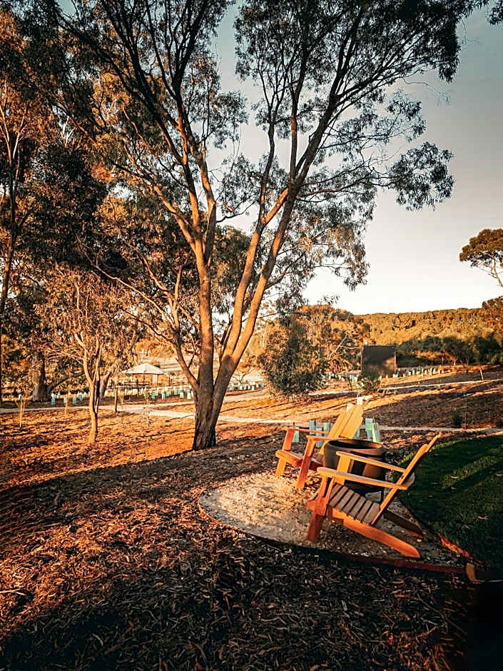 CABN X Seppeltsfield Barossa