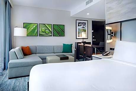 King Studio Suite