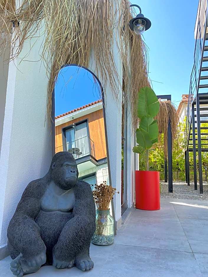 Primus Alacati Adult Only