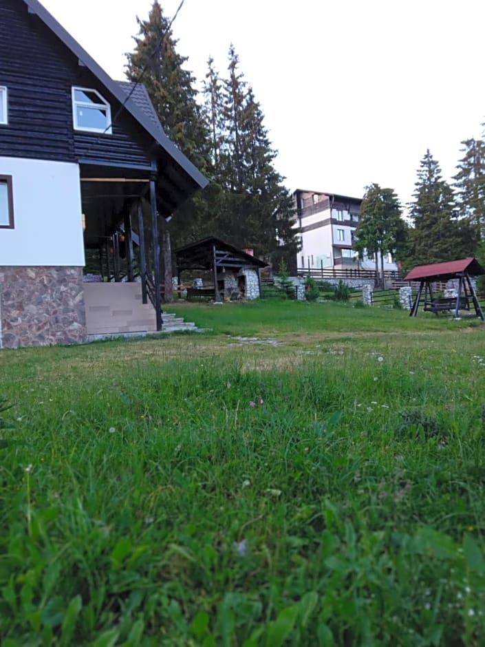 Casa de Vacanţă Vârtop