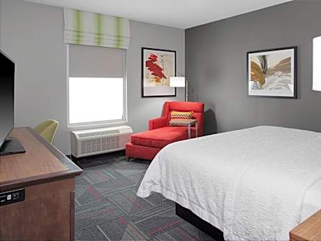 1 KING HEARING ACCESSIBLE NONSMOKING