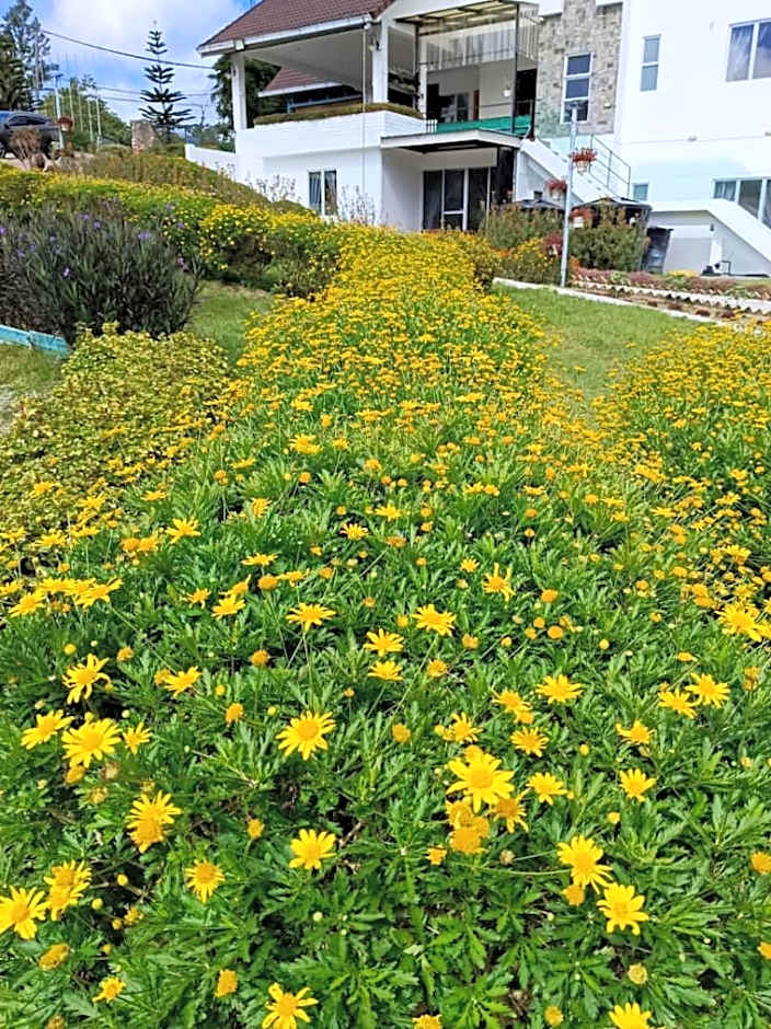 Dear Dino Villa Cameron Highlands