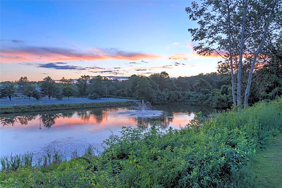 Best Western Royal Plaza Hotel And Trade Center