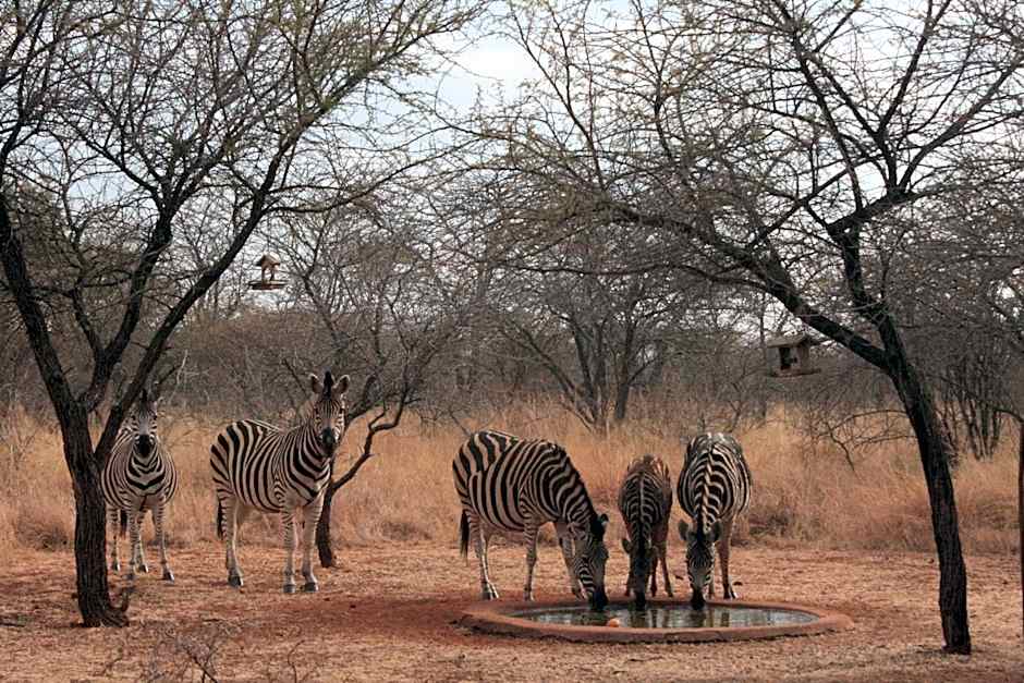 Makhato 84 Bush Lodge