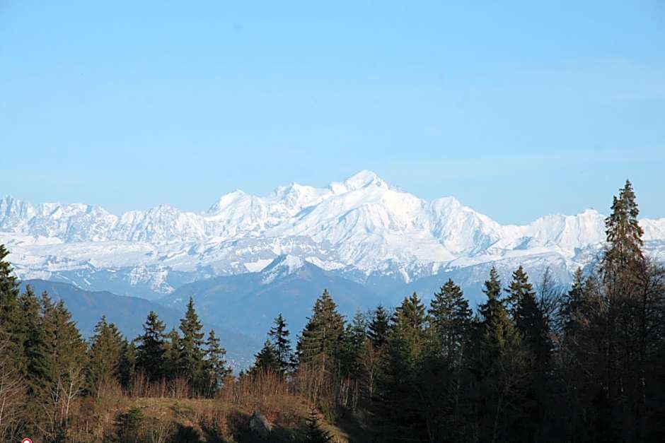 Au Coeur du Lapidaire
