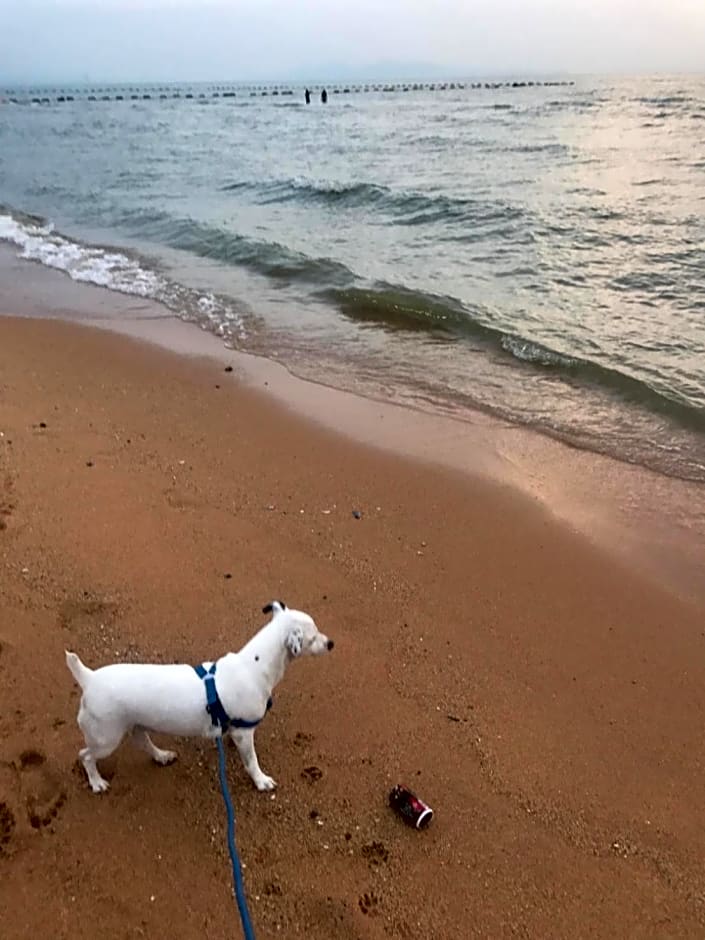 A title Guestel jomtien