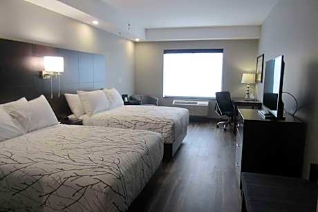 Queen Room with Two Queen Beds