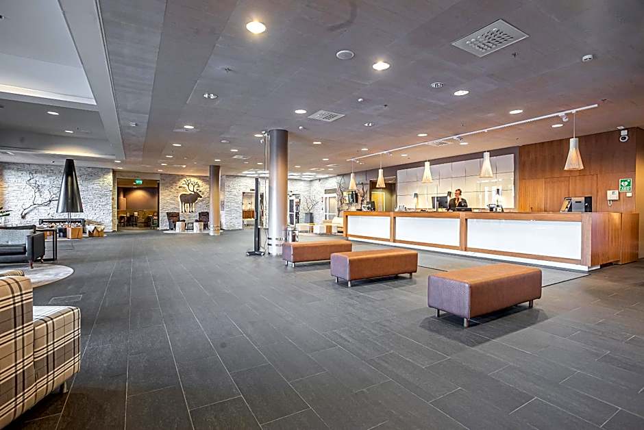 Hotel Levi Panorama & Levi Chalets