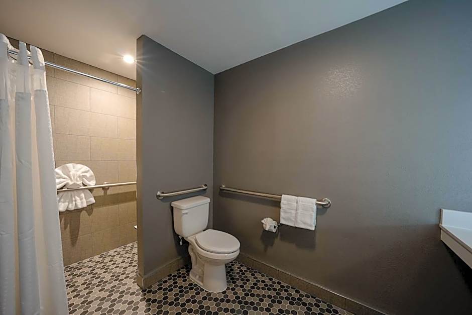 Holiday Inn Express & Suites Santa Clara - Silicon Valley By IHG