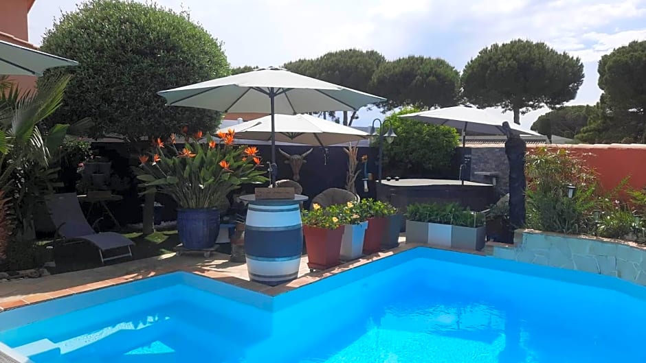 Location Chambre d'hôtes Grau du Roi Mas des Marines Piscine Adult only