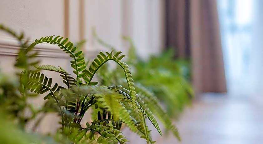 Isara Boutique Hotel and Cafe