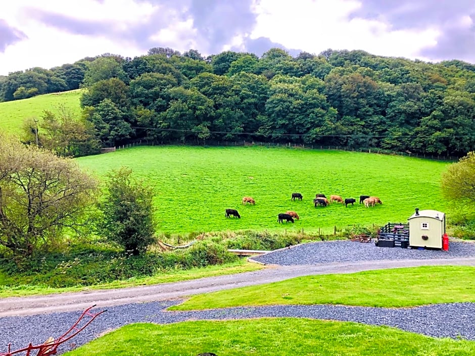 Mid Wales Luxury Huts