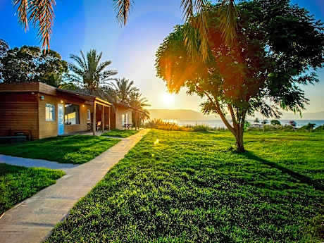 Daria - Authentic Israeli Experience