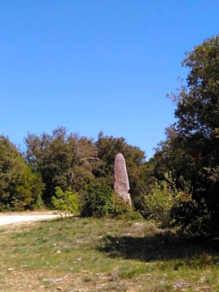 Sous les chênes