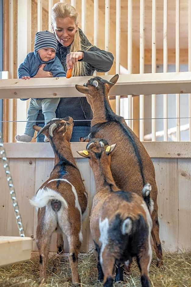 Almfamilyhotel Scherer