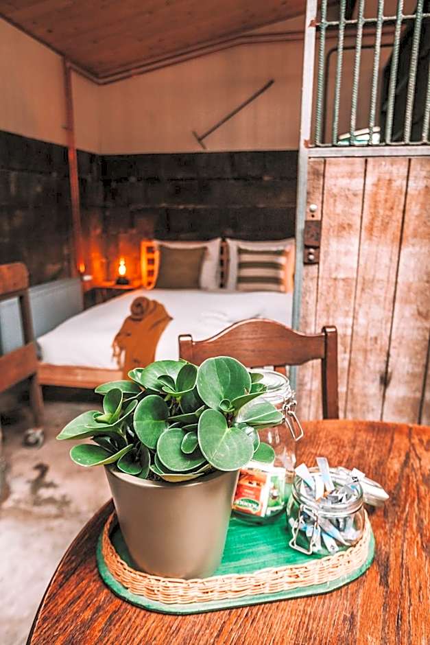 CRASH'NSTAY - Paardenstal