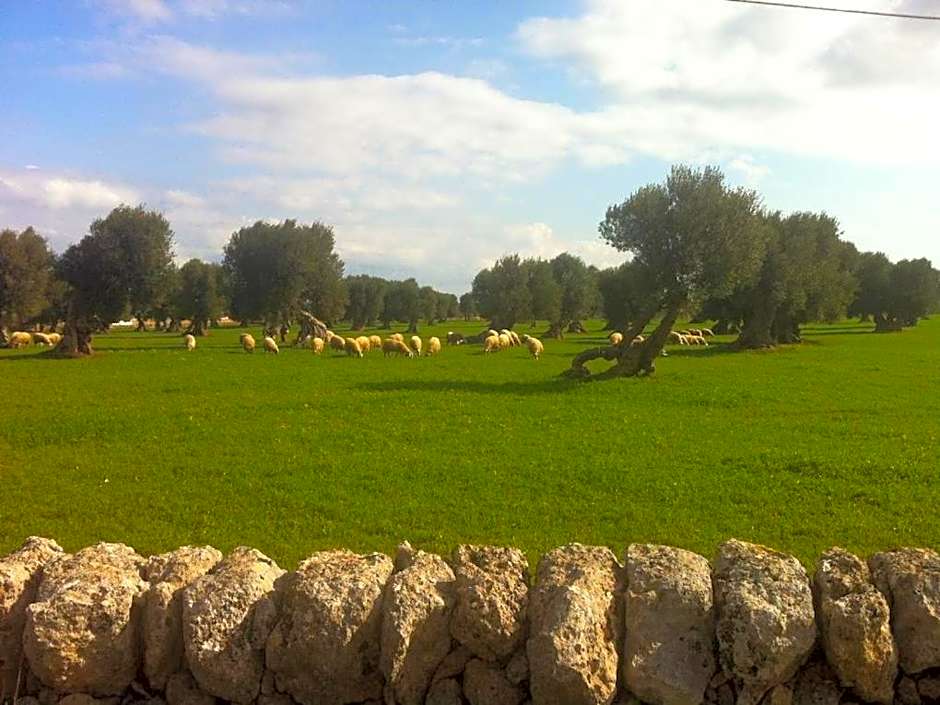 Masseria Pelosella B&B