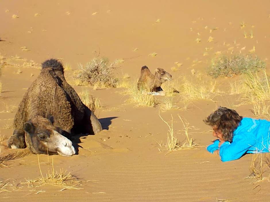 Oasis Tilogui-Luxury Hotel Restaurant and Desert Excursions In Zagora