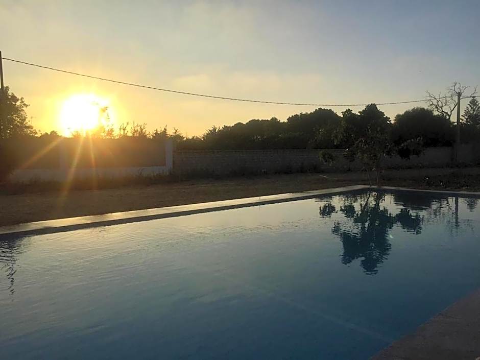 The Farm Tiny House - Tiny Casa