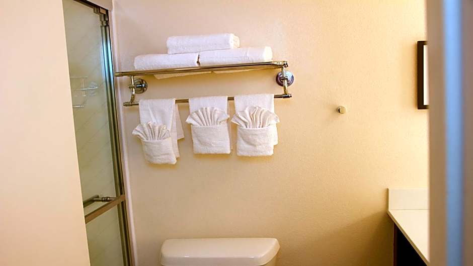 Holiday Inn Metairie New Orleans By IHG