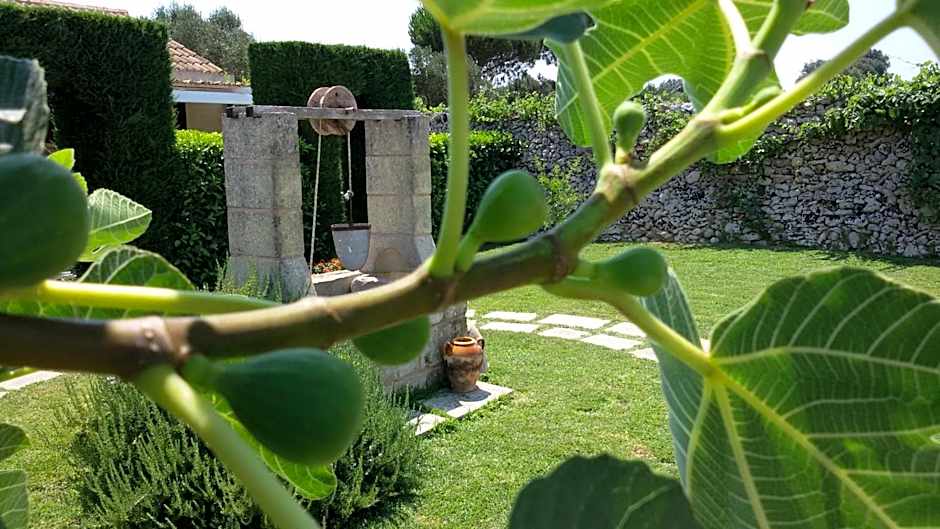 MASSERIA SALENTINA - Esperienza Autentica