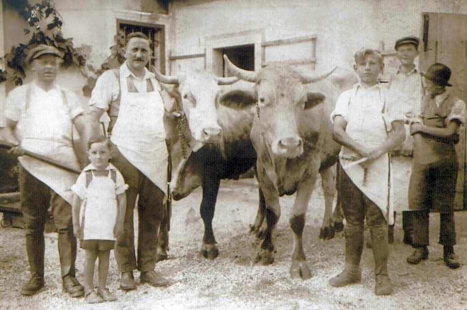 Pri Žabarju Bed & Breakfast Ljubljana